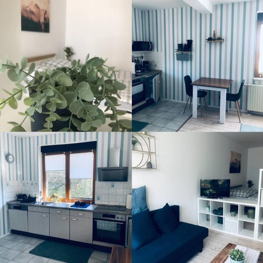 Ferienwohnung Shakira Penig Kültér fotó